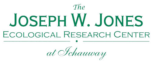 Joseph W. Jones Ecological Research Center